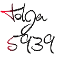 tolga5939