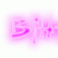 BiHTeR